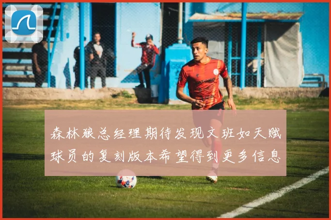 森林狼总经理期待发现文班如天赋球员的复刻版本希望得到更多信息