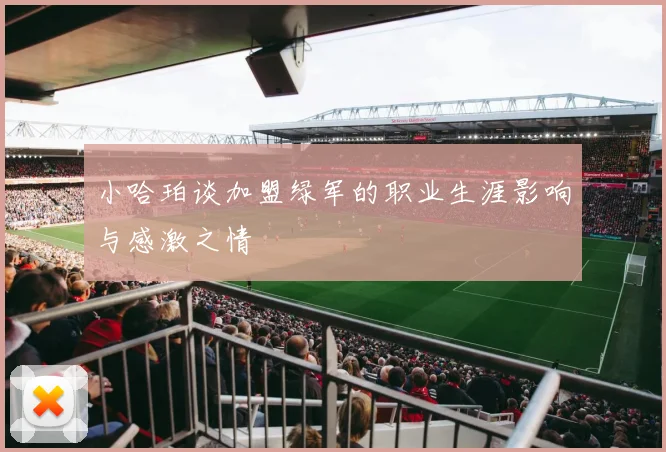 小哈珀谈加盟绿军的职业生涯影响与感激之情